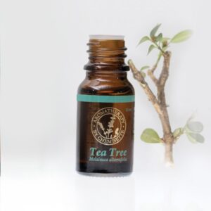 TEA TREE 10ml ACEITE ESENCIAL - Image 3