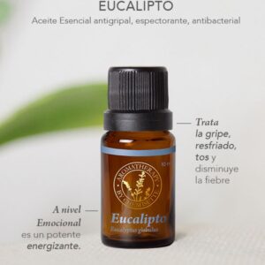 EUCALIPTO 10ml ACEITE ESENCIAL - Image 3