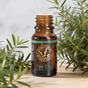 TEA TREE 10ml ACEITE ESENCIAL - Image 1