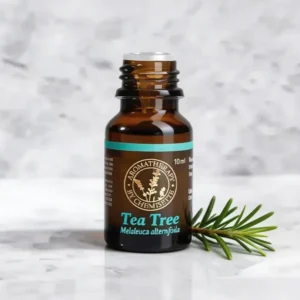 TEA TREE 10ml ACEITE ESENCIAL - Image 2